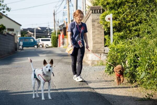 初めてのご利用は必ず事前練習をお願いしています