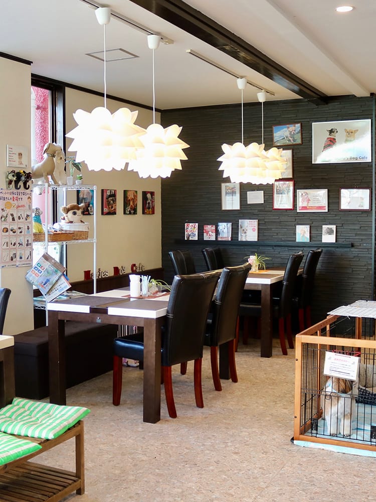 Marie's Dog Cafe